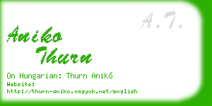 aniko thurn business card